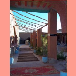oasis04.jpg