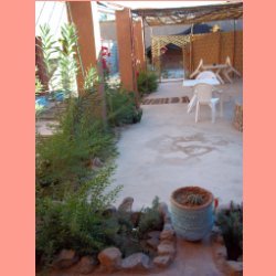 oasis05.jpg