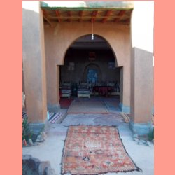 oasis06.jpg