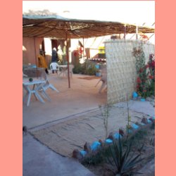 oasis14.jpg