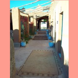 oasis15.jpg