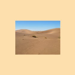 36_dune1.jpg