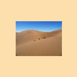 45_dune4.jpg